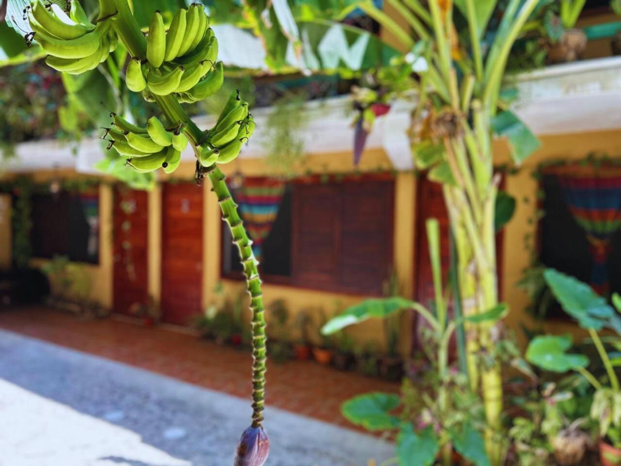 Hotel Casa Del Mar Mazunte Santa Maria Tonameca Bagian luar foto